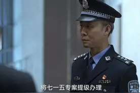 《狂飙》看警察等级图片