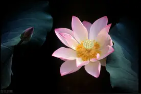 有一种真爱，叫想你，相思入骨，但不打扰你图片