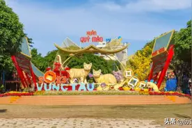 为什么2023年在越南是猫年而不是兔年图片