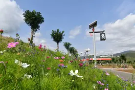 【最新】2023年11月28日9时30分，河北高速路况信息图片