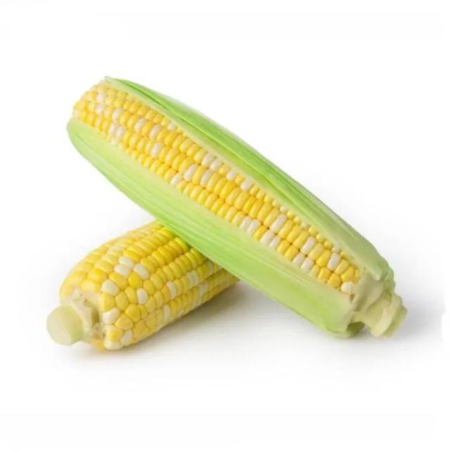 花胶 长胎 2026年花胶长胎快还是海参长胎快