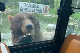 北京大兴野生动物园图片