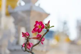 男人和你冷战时，别急着讨好，做到这三点他会主动道歉图片