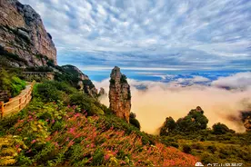 雨后的白石山为何如此被偏爱？图片