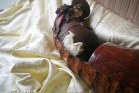 租界法案的效应图片