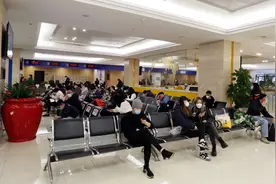 出境游有序恢复 这份出入境证件办理攻略建议收藏图片