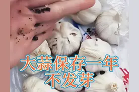 分享14个生活小妙招，大蒜保存一年不发芽，方法你用对了吗图片