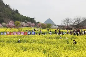 贵阳你太浪漫了！路边音乐会唱响乡间花海！图片