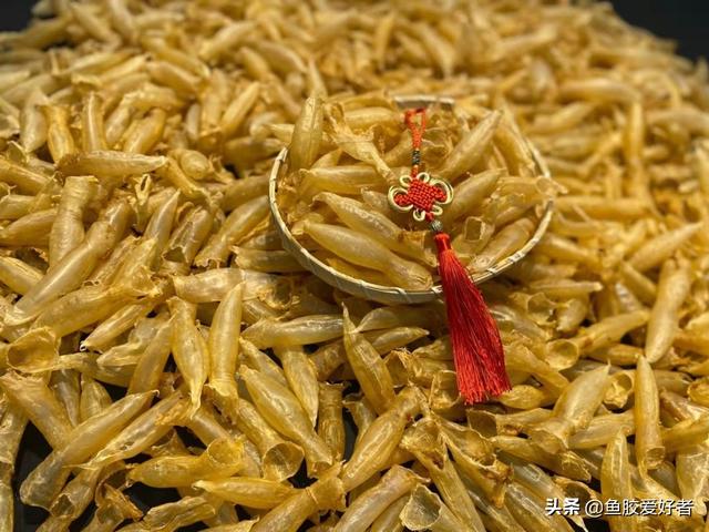 花胶有没假的 2026年花胶假货怎么辨别