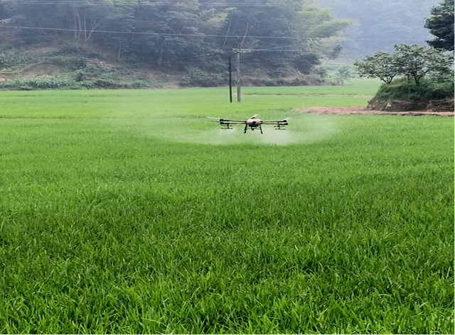 四川省民生研究会新媒体中心-官网