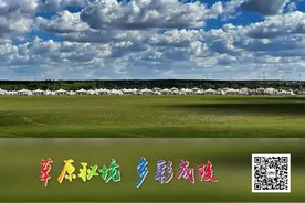 一周一景 | 草原·骏马的眷恋图片