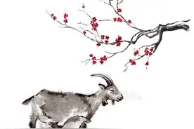 生 肖羊：请接收未来10天的好运，家中喜事不断，好运接二连三！图片