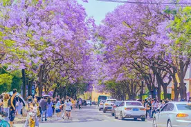 昆明四季如春，为啥当地网友却说不是这么回事呢？图片