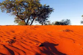 在狮子嘴里夺食的原始部落，饿了就偷鸵鸟蛋，想吃肉就抓羚羊图片