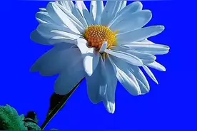 男人对你动了真情，才会对你有这3个“主动”，别不信，也别不懂图片