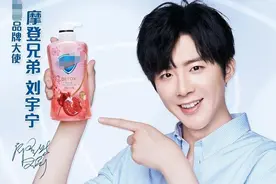 “一鲸落万物生”，邓伦李易峰的不检点，鼓了这些明星的钱包图片