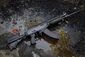 世界上36种“最美”突击步枪，都符合大多数人的审美图片