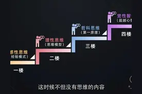 黑猫与白猫图片