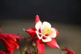 让男人对你上瘾的有效方法：三方面不主动图片