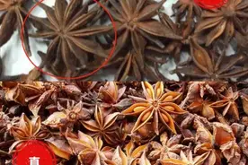 原来八角也有真假！学会这4个小妙招，一眼辨别，再也不怕买错了图片