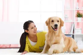 如何训练狗狗不咬人图片