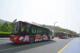五一到连云港游花果山，可以免费乘坐“孙大圣”旅游直通车！图片