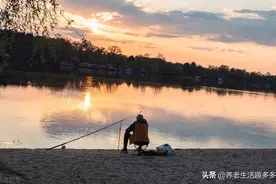 千万不要钓鱼，会让你身体变好图片