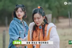 又被《桃花坞》赚到流量了！谁才是“乐队门”的真正恶人？图片