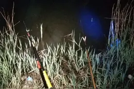 陆地“第一毒蛇”，性格温顺但却多次袭击夜钓人，它不怕雄黄？图片