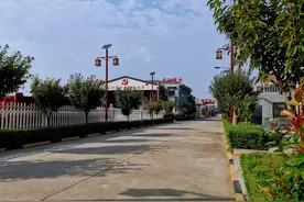 玉蝉街道狠抓作风 促人居环境整治再提升图片