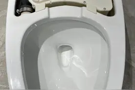 新家入住半年，智能马桶让我痛苦不堪，都怪没提前搞懂这些问题！图片