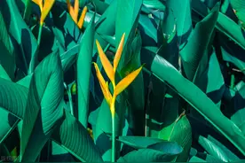 对小人最狠的报复，不是动粗，而是在这3个地方，下狠手图片