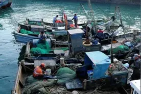 山东黑老大王雷：“我不高兴，全山东都吃不到好海肠”，如今被抓图片