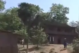 故事:湖南男子突变"木头人",手脚长树枝还开花,专家检查发现端倪图片