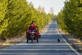 19岁女孩被迫嫁到荒漠，几次未能逃离，15年后国家为她颁奖图片