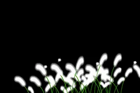 一声巨响，生死者皆全裸图片