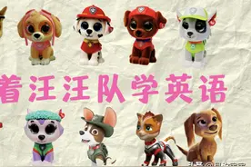 汪汪队十大角色英文怎么说 阿奇天天毛毛贝贝是什么狗狗图片