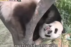 乐宝与爷爷的初见，彼此都觉得对方很喜欢自己图片