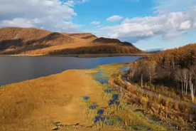 看不透的河南村镇银行图片