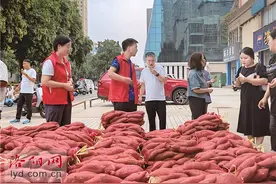 女孩卖红薯给父母看病 红薯被爱心人士抢购图片