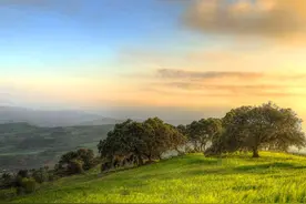 真心爱着你，默默守护着你图片