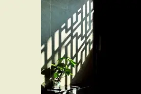 散文：生活，不管苦与甜，都要好好享受每一天图片