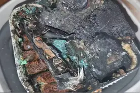 我的小牛M+动力版原装锂电池电池炸了图片