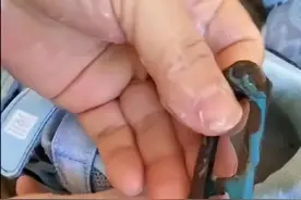 国货负面缠身！回力发澄清声明回应鞋底藏剪刀：系假冒伪劣产品图片