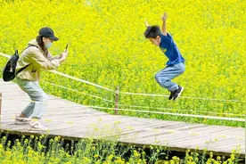 @沈阳人！家门口的这片花海绽放了！花期约20天！图片