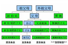 亲舅打架被拘役了四个月，军队文职政审过得了吗？图片