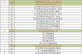 别错过！石家庄消费券又又又来啦图片