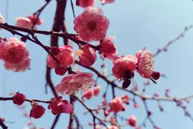 人性的本质是什么？图片