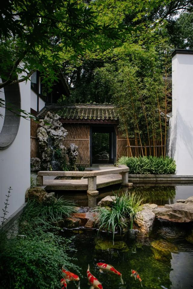 川贝炖花胶 2026年花胶川贝瘦肉的做法