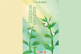 农谚知时 | 小暑种芝麻 当头一枝花图片